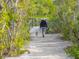 Person walking a dog on a nature trail at 5050 Kestral Park S Way, Sarasota, FL 34231