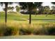 Picturesque golf course with palm trees and fairways at 5816 Mulligan Way, Bradenton, FL 34211