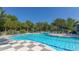 Resort-style swimming pool with palm trees and a checkered deck at 21285 Holmes Cir, Venice, FL 34293