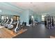 Modern fitness center with various exercise equipment at 14717 Leopard Creek Pl, Lakewood Ranch, FL 34202