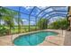 Relaxing kidney-shaped pool with a screened enclosure at 14717 Leopard Creek Pl, Lakewood Ranch, FL 34202