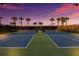 Well-lit tennis and pickleball courts offer residents recreational activities at 5510 Panella Ct, Palmetto, FL 34221