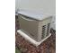 Kohler generator installed on a concrete slab at 12715 Lake Silver Ave, Bradenton, FL 34211