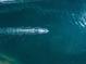 Aerial view of a boat speeding across the water at 1358 Moonmist Dr # B4, Sarasota, FL 34242