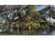 Peaceful waterfront lot with lush landscaping and mature trees at 1802 Field Rd, Sarasota, FL 34231