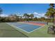 Two pickleball courts with seating and playground nearby at 8720 Bellussi Dr, Sarasota, FL 34238