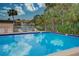 Community pool with lounge chairs and palm trees at 947 Sunridge Way # A-3, Sarasota, FL 34234