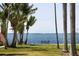 Scenic waterfront view with palm trees and calm water at 4511 Bay Shore Rd, Sarasota, FL 34234