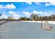 Community roller hockey rink features smooth surface, nets, and shade at 14847 Skip Jack Loop, Lakewood Ranch, FL 34202