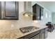 Modern kitchen with gas cooktop, granite counters, and dark cabinetry at 11192 Whimbrel Ln, Sarasota, FL 34238