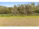 Spacious backyard with lush grass and a tranquil waterway view at 1478 Navigator Rd, Punta Gorda, FL 33983