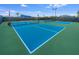 Two well-maintained pickleball courts at 12432 Golden Sage Dr, Sarasota, FL 34238