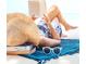 Relaxing beach scene, person reading a book on the shore at 1305 4Th St # 102B, Sarasota, FL 34236