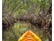 Kayaking through a mangrove tunnel at 1305 4Th St # 102B, Sarasota, FL 34236