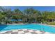 Inviting pool with checkered tile deck and palm trees at 21205 Holmes Cir, Venice, FL 34293