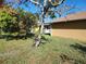 Side yard with mature tree and flowering ground cover at 25692 Aysen Dr, Punta Gorda, FL 33983