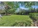 Large backyard with lush landscaping at 15903 Armistead Ln, Odessa, FL 33556