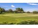 Expansive putting green surrounded by lush landscaping and mature trees at 9908 Carnoustie Pl, Bradenton, FL 34211