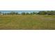 Spacious grassy lot provides ample room for various outdoor activities and recreation at 25205 67Th E Ave, Myakka City, FL 34251