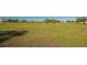 Vast green pasture offering ample space for horses to roam, promising a serene and spacious equestrian lifestyle at 25205 67Th E Ave, Myakka City, FL 34251