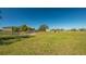 Expansive horse property featuring green pastures, wooden fencing, and shelters under a clear blue sky at 25205 67Th E Ave, Myakka City, FL 34251