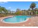 Inviting community pool with lounge chairs and palm trees at 4990 Baraldi Cir # 101, Sarasota, FL 34235