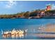 Calm waterfront view with pelicans and a glimpse of a grand home in the background at 333 N Shore Dr, Sarasota, FL 34234