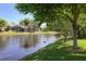 Scenic lakefront view with mature trees and ducks at 5200 Highbury Cir, Sarasota, FL 34238