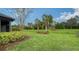 Spacious backyard with lush green grass and palm trees at 6839 Chester Trl, Bradenton, FL 34202