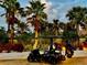 Black golf cart parked near palm trees at sunset at 13816 Messina Loop # 203, Bradenton, FL 34211
