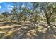 Spacious front yard with mature oak trees at 7146 Territory Ln, Sarasota, FL 34240