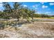 Serene pasture with a horse at 7146 Territory Ln, Sarasota, FL 34240