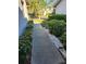 Sidewalk leading to condo entrance, bordered by manicured shrubs and landscaping at 5496 Hampstead Heath # 10, Sarasota, FL 34235