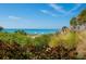 Scenic beach view with lush vegetation at 1211 Gulf Of Mexico Dr # 706, Longboat Key, FL 34228