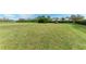 Large backyard with lush green grass at 3522 Little Country Rd, Parrish, FL 34219