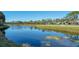 Serene waterfront view with lush greenery and calm water at 4410 Weybridge # 91, Sarasota, FL 34235