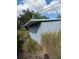 View of a detached shed with overgrown landscaping at 4951 Bell Meade Dr, Sarasota, FL 34232