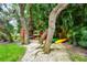 Colorful kayaks stored under shady oak trees at 8625 Midnight Pass Rd # 505B, Sarasota, FL 34242