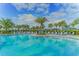 Large freeform pool with plenty of lounge chairs and umbrellas at 13789 Old Creek Ct, Parrish, FL 34219