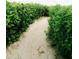 Sandy path through lush greenery leads to the beach at 5310 Gulf Of Mexico Dr # 11, Longboat Key, FL 34228