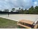 Outdoor sand volleyball court with picnic table at 12086 Granite Woods Loop, Venice, FL 34292