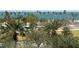 Aerial view of waterfront property with palm trees and city skyline in background at 800 N Tamiami Trl # 403, Sarasota, FL 34236