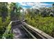 Wooden boardwalk winds through lush Florida landscape, offering scenic nature walk at 608 Misty Pond Ct, Bradenton, FL 34212