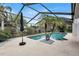 Relax by this beautiful screened-in pool with palms at 6609 Waterford Ln, Sarasota, FL 34238