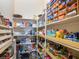 Well-stocked pantry with ample shelving for storage at 7123 Beechmont Ter, Lakewood Ranch, FL 34202