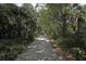 Scenic nature trail through lush vegetation at 5581 Key West Pl # 5581, Bradenton, FL 34203