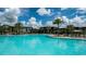 Expansive pool with surrounding lounge area at 9153 Radiant Cir, Sarasota, FL 34241