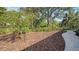 Landscaped backyard with a winding path and lush greenery at 2402 Palmetto St, Nokomis, FL 34275