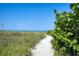 Sandy path leading to beach with lush vegetation at 5891 Tidewood Ave # 1, Sarasota, FL 34231