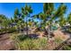 Community playground with slides and shade structures, surrounded by lush landscaping and mature pine trees at 341 Grande Vista Blvd, Bradenton, FL 34212